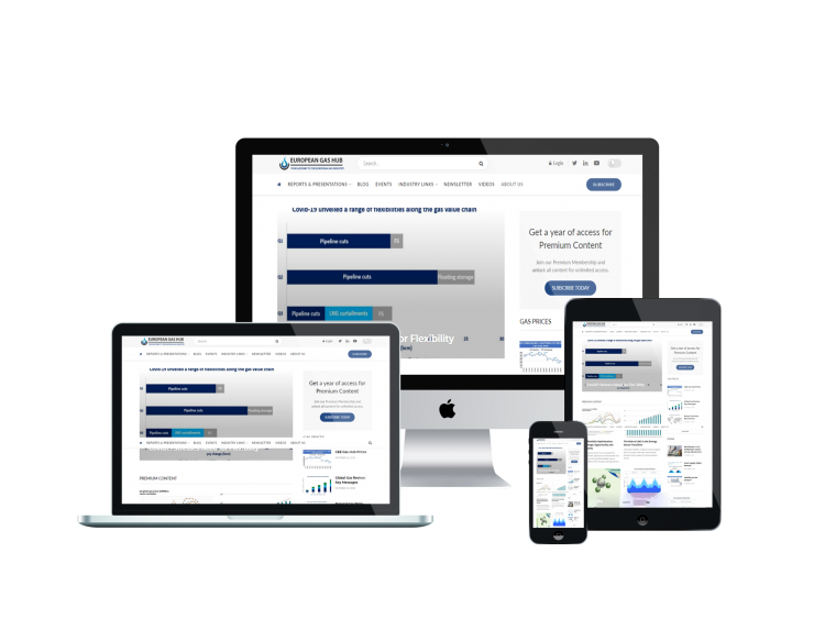 12 MONTH PLAN SAVE 22 European Gas Hub