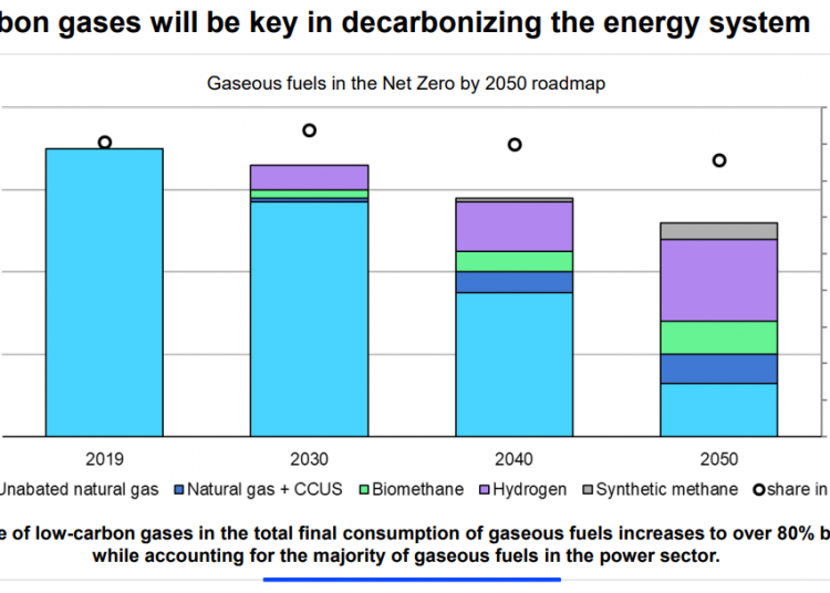 Decarbonisation With Gas Infrastructure European Gas Hub