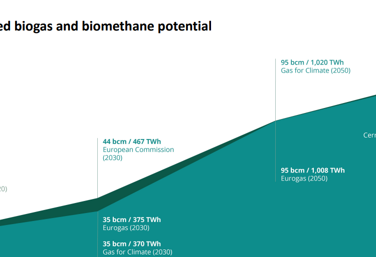 Biomethane acceptance