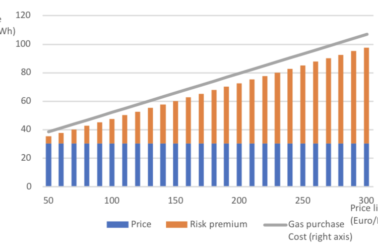 Natural gas price limits and large scale supply interruption European