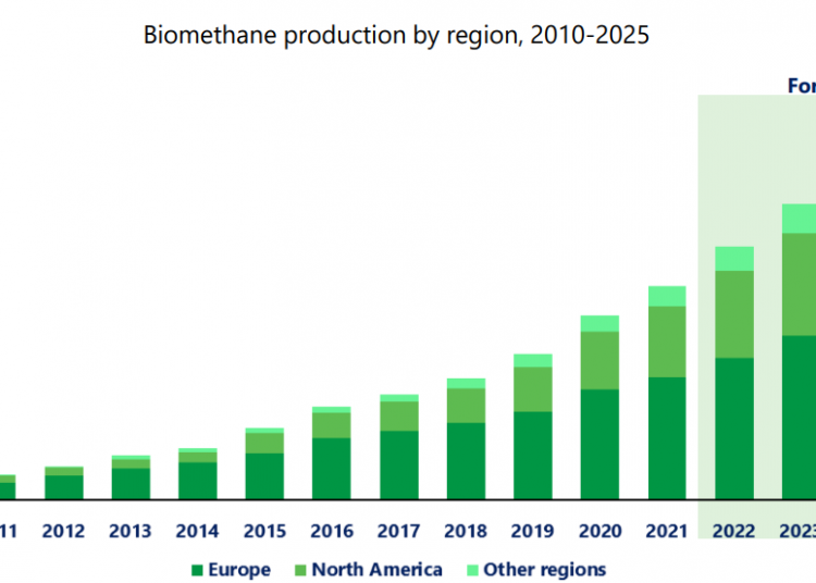 Biomethane-market